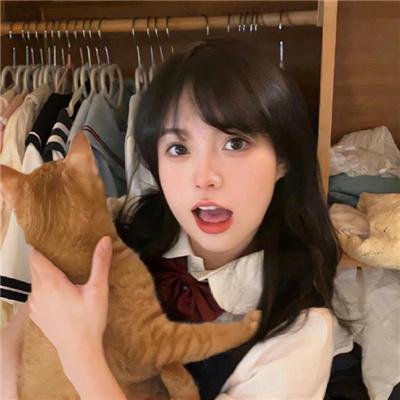 猫和老鼠：绿野仙踪